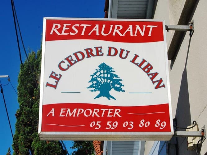 le-cedre-du-liban-anglet